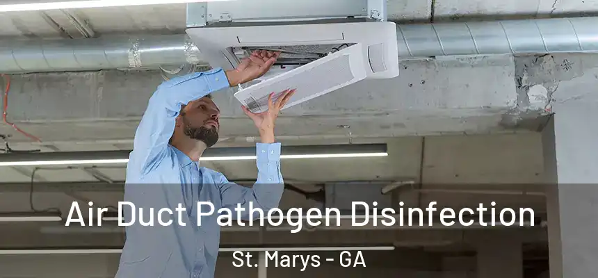  Air Duct Pathogen Disinfection St. Marys - GA