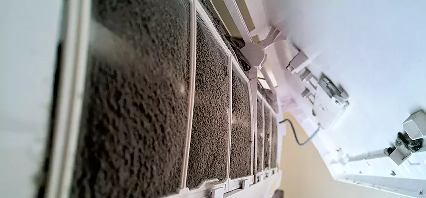 Preventive Air Duct Bacteria Removal in St. Marys