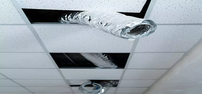 Our Air Duct Pet Hair Removal Services in St. Marys, GA