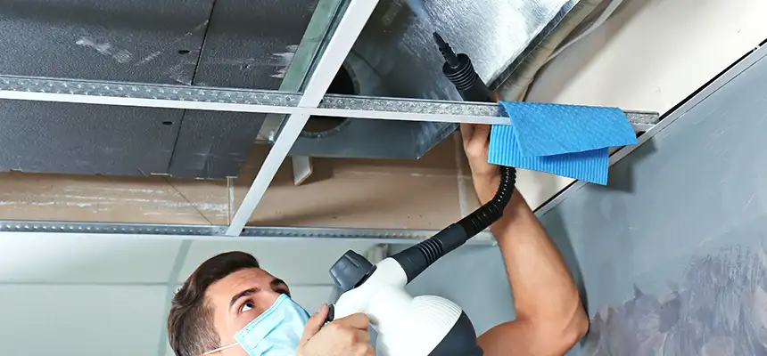 Our Air Duct Rodent Removal Services in St. Marys, GA