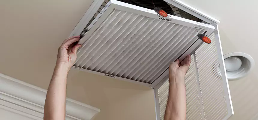 Our Insect Removal from Air Ducts Services in St. Marys, GA