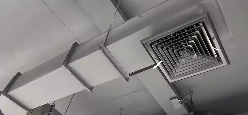 Our Pest Removal From Ducts Services in St. Marys, GA