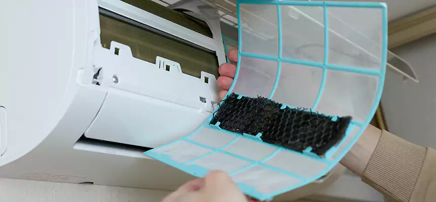 Gentle Ductwork Odor-Control Pet Dander Duct Cleaning in St. Marys, GA