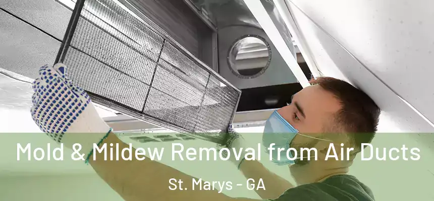  Mold & Mildew Removal from Air Ducts St. Marys - GA