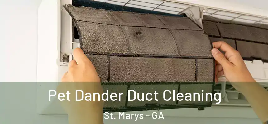  Pet Dander Duct Cleaning St. Marys - GA