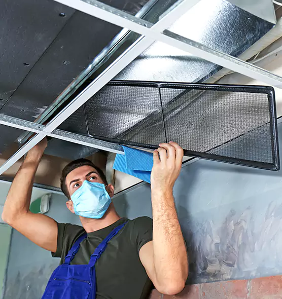 About Air Duct Bacteria Removal in St. Marys