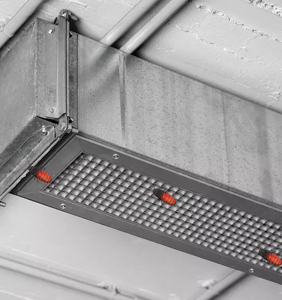 About Air Duct Cockroach Removal in St. Marys, GA