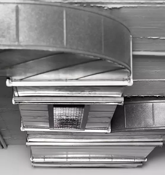 Professional Air Duct Pest Removal in St. Marys, GA