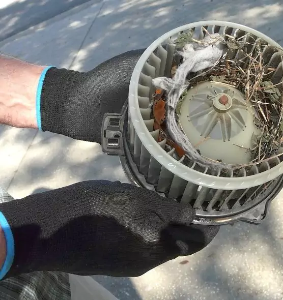 About Air Duct Rat Removal in St. Marys, GA