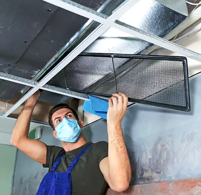 Why Homeowners Businesses Trust Us in St. Marys, GA