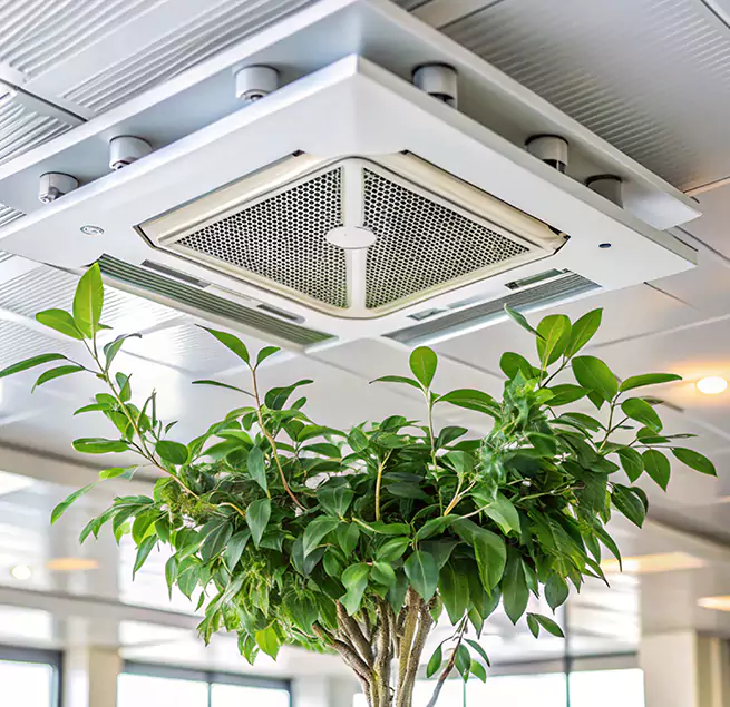 Why Homeowners & Businesses Trust Us in St. Marys, GA