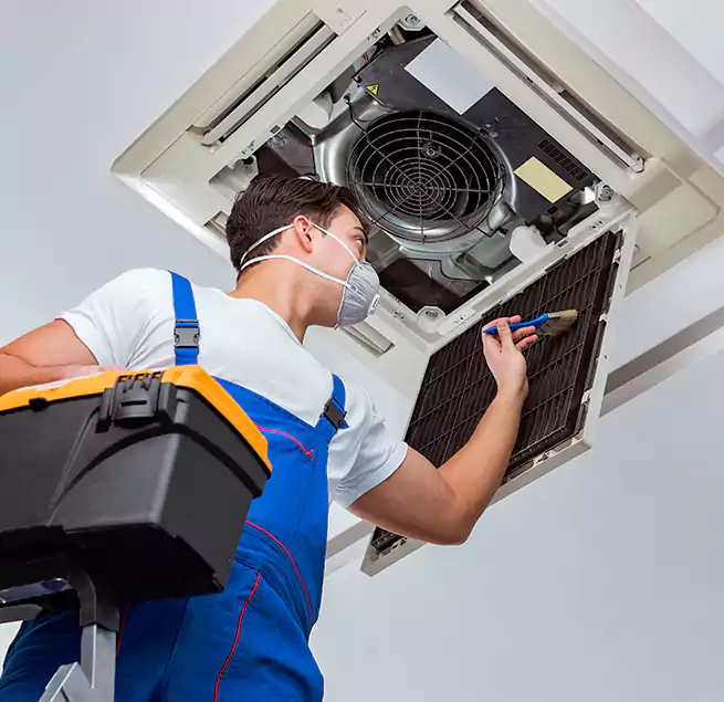 Why Homeowners & Businesses Trust Us in St. Marys, GA?