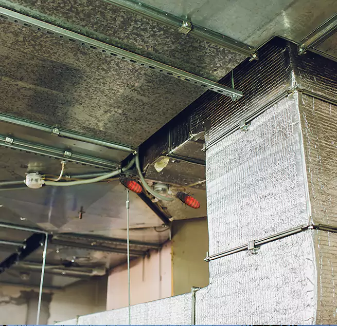 Why Homeowners & Businesses Trust Us St. Marys, GA?