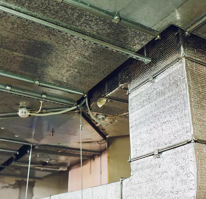 Why Homeowners & Businesses Trust Us in St. Marys, GA?